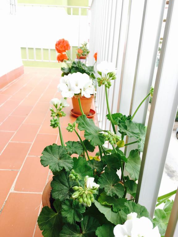 Axarquia Apartments Nerja Εξωτερικό φωτογραφία